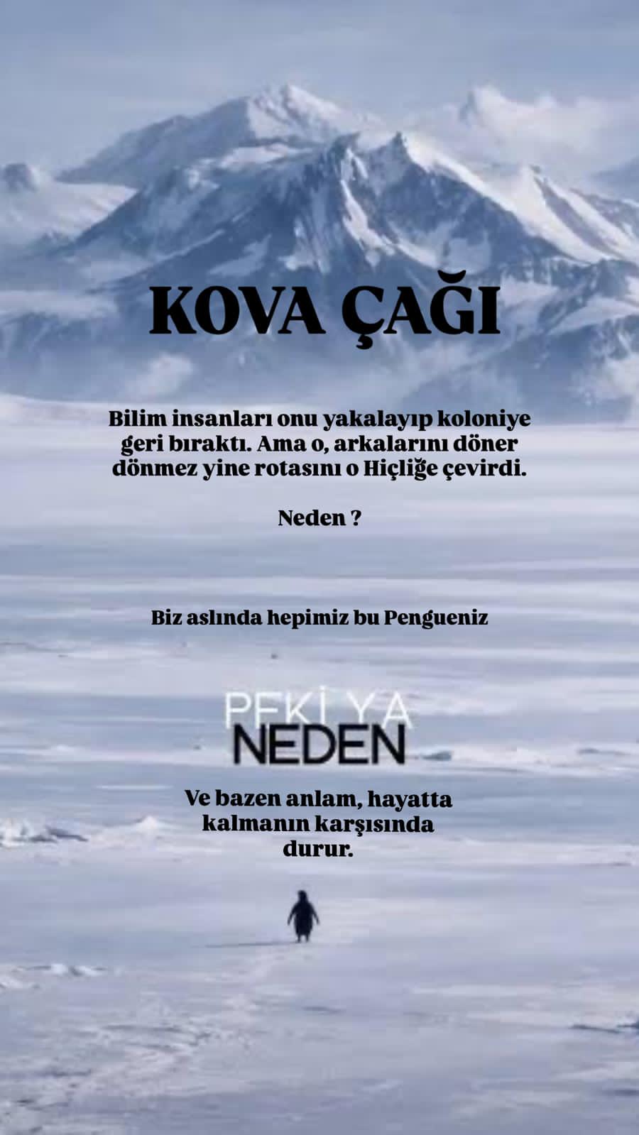 I M G 20260128 W A0000