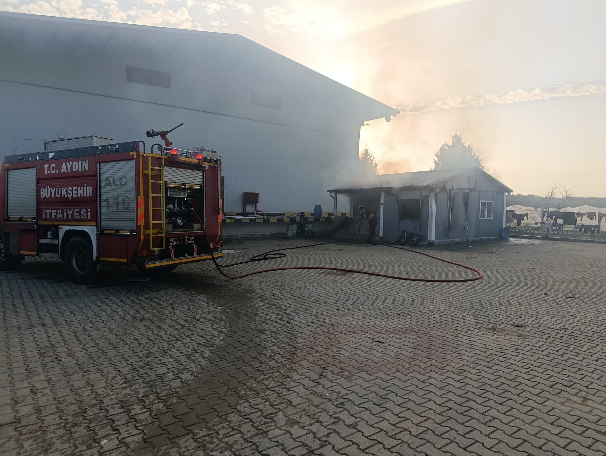 Whatsapp Image 2026 01 07 At 16.52.40