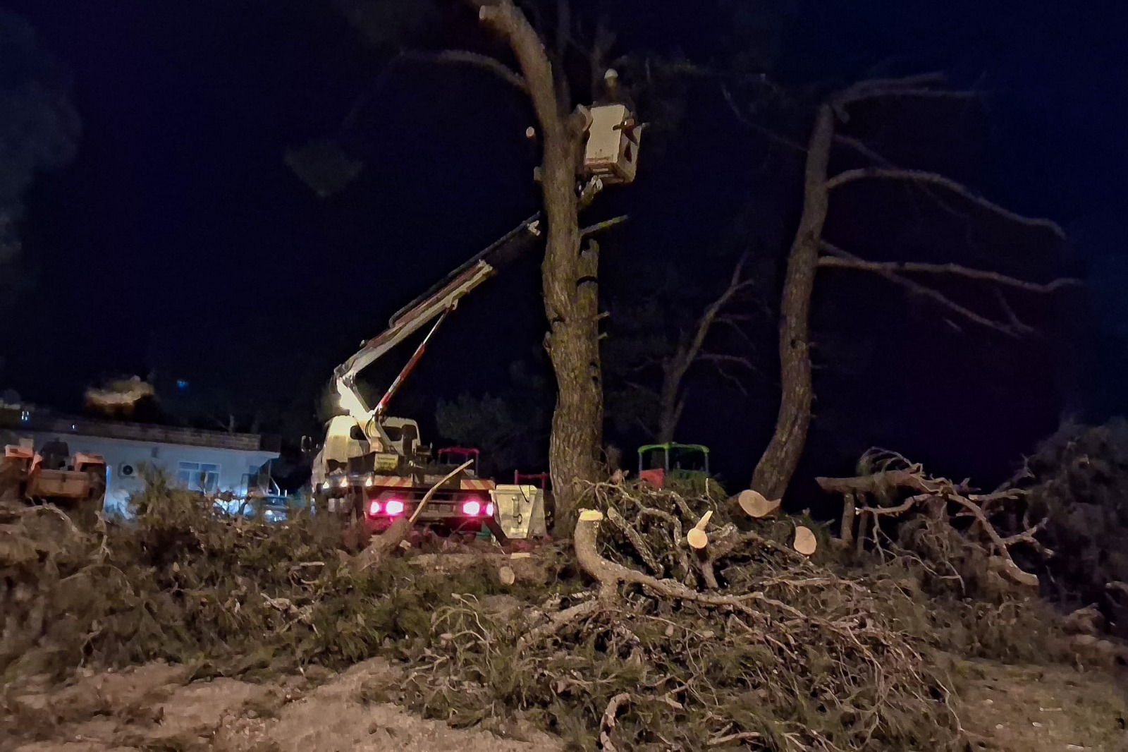 Whatsapp Image 2026 01 09 At 11.30.33