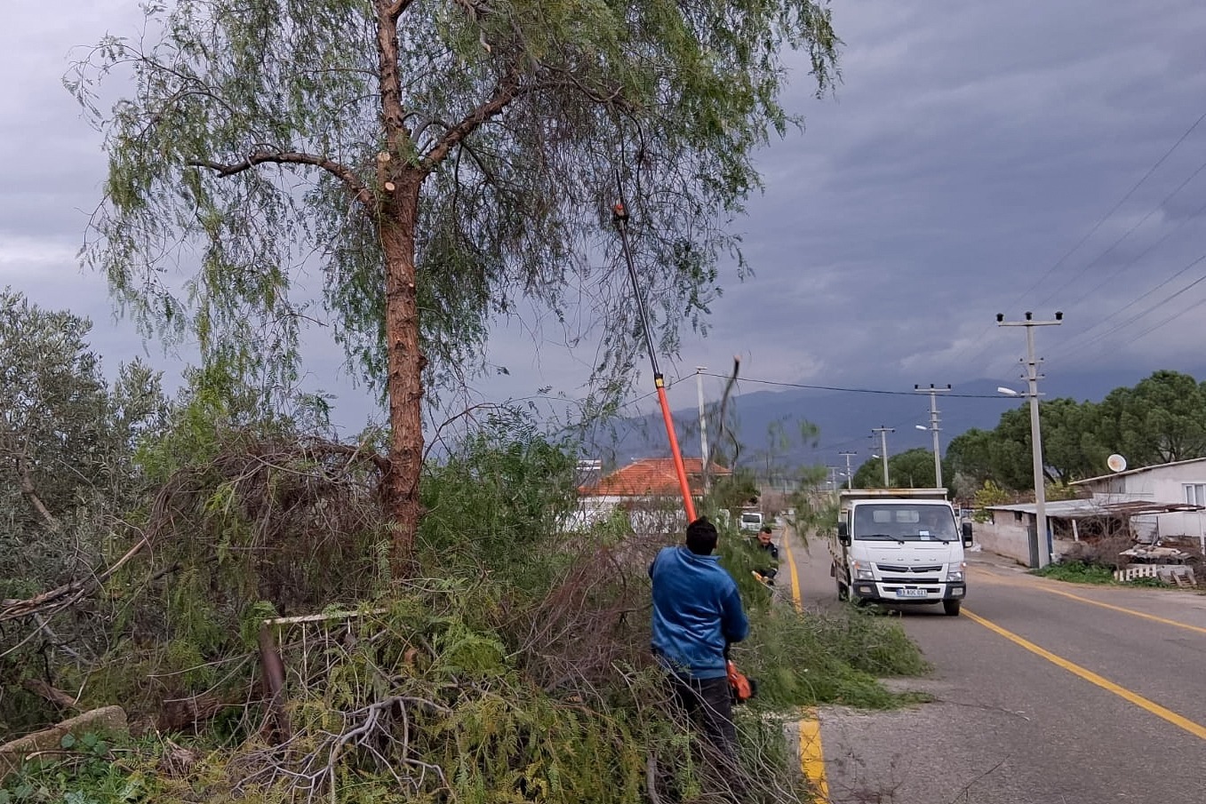 Whatsapp Image 2026 01 09 At 11.30.34 (2)