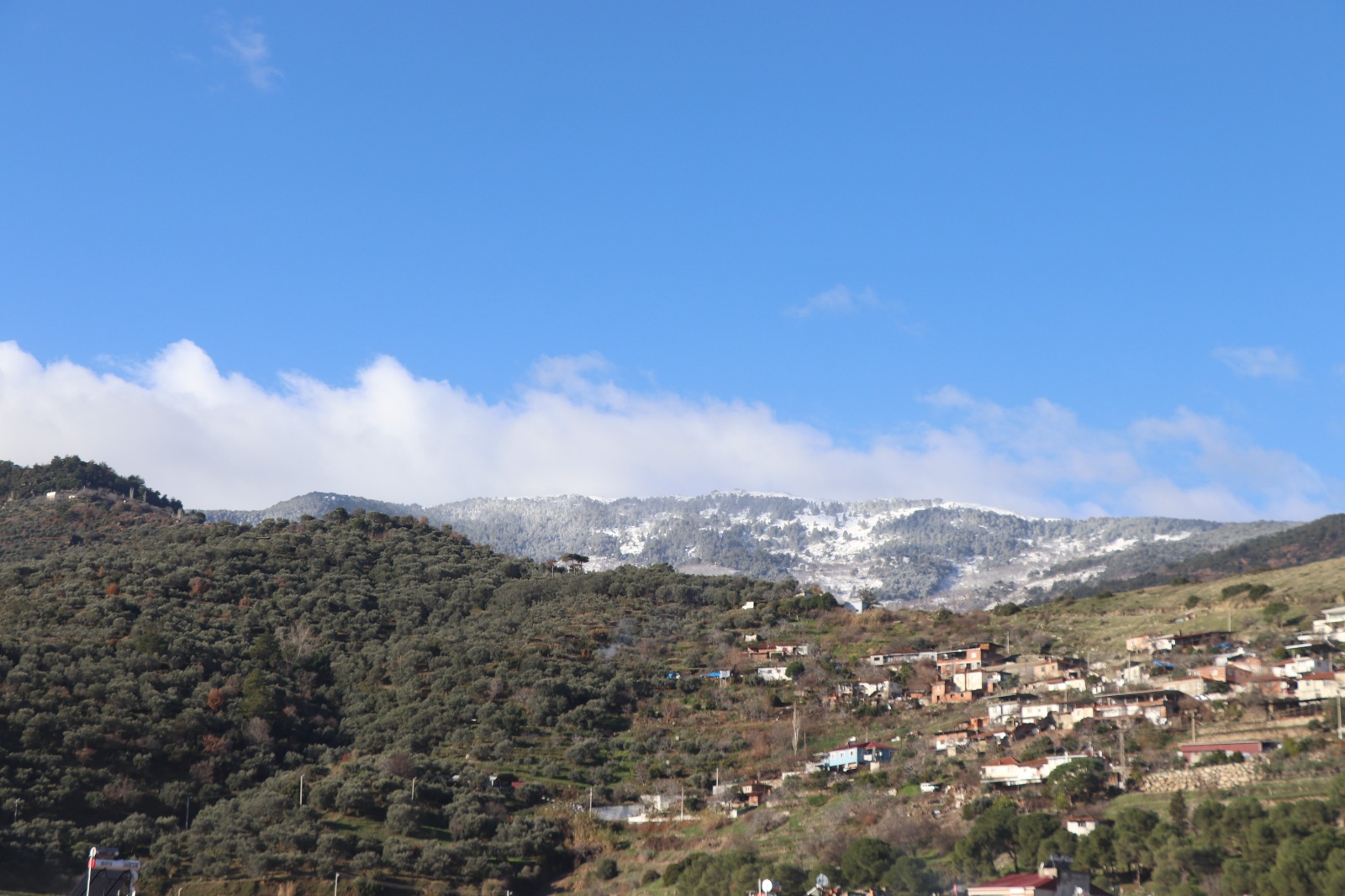 Whatsapp Image 2026 01 09 At 14.43.48 (1)