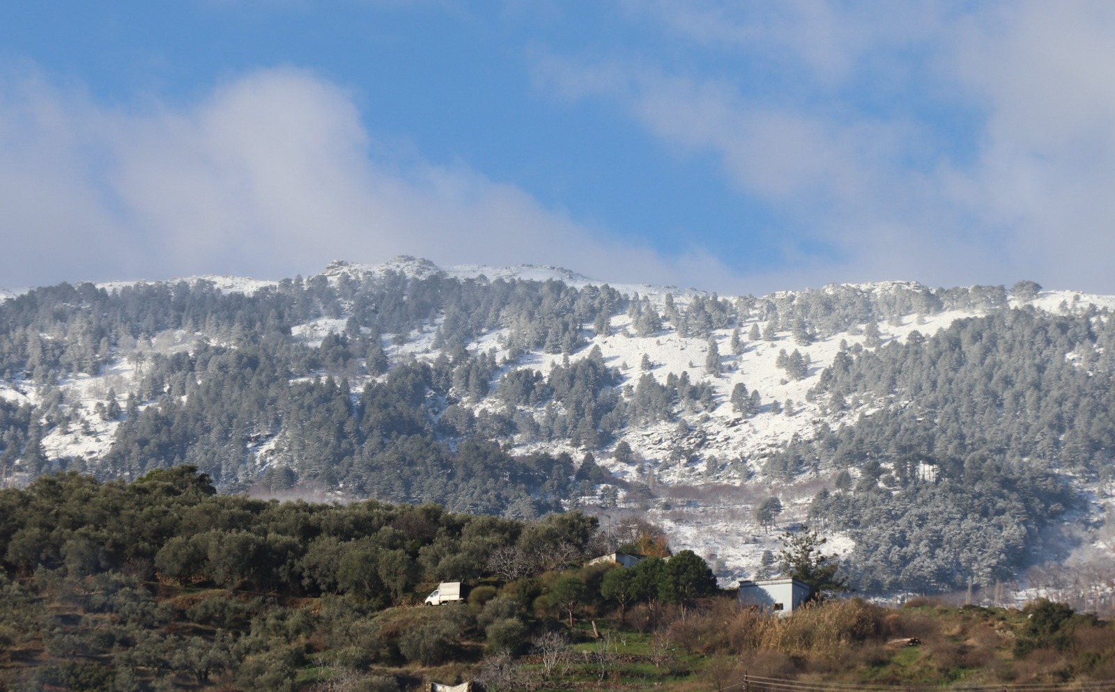 Whatsapp Image 2026 01 09 At 14.43.48 (3)