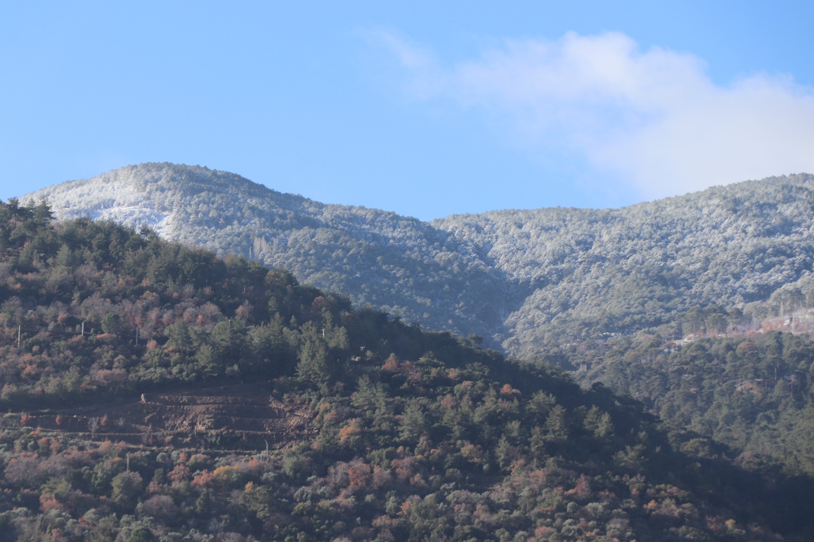 Whatsapp Image 2026 01 09 At 14.43.48 (5)