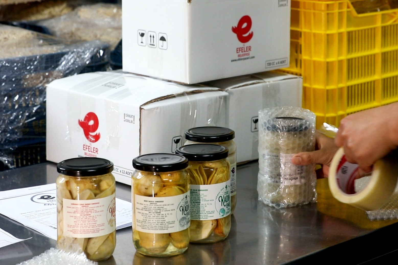 Whatsapp Image 2026 01 13 At 15.30.36 (3)