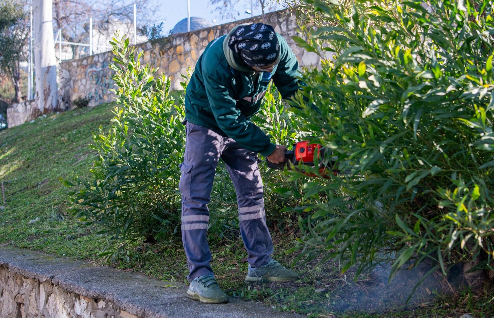 Whatsapp Image 2026 01 20 At 15.36.38 (4)