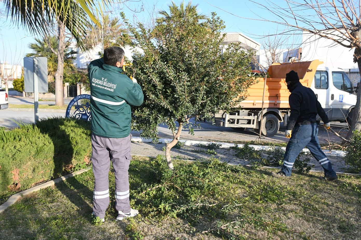 Whatsapp Image 2026 01 20 At 15.36.38