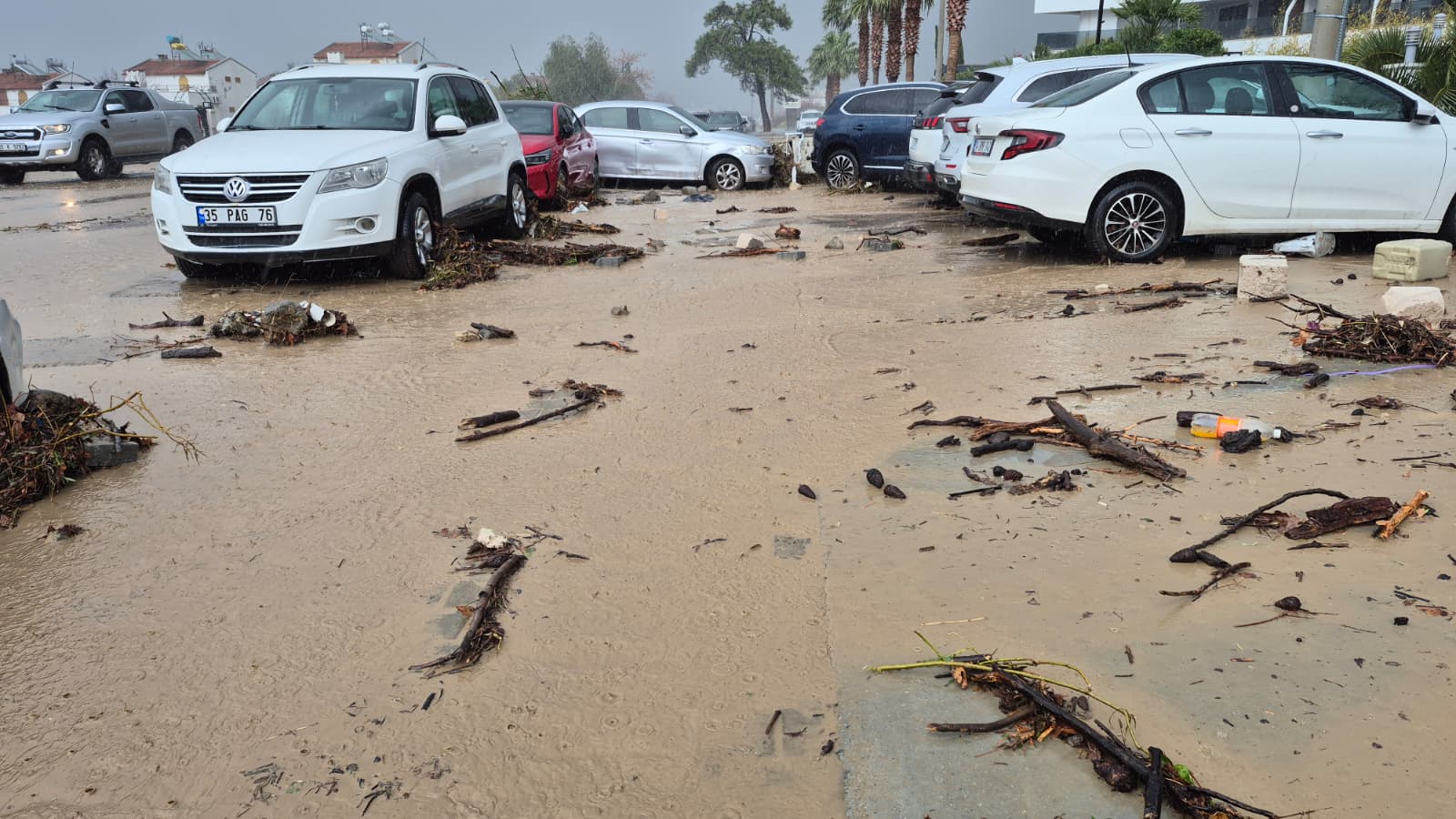 Whatsapp Image 2026 01 22 At 17.48.51 (1)