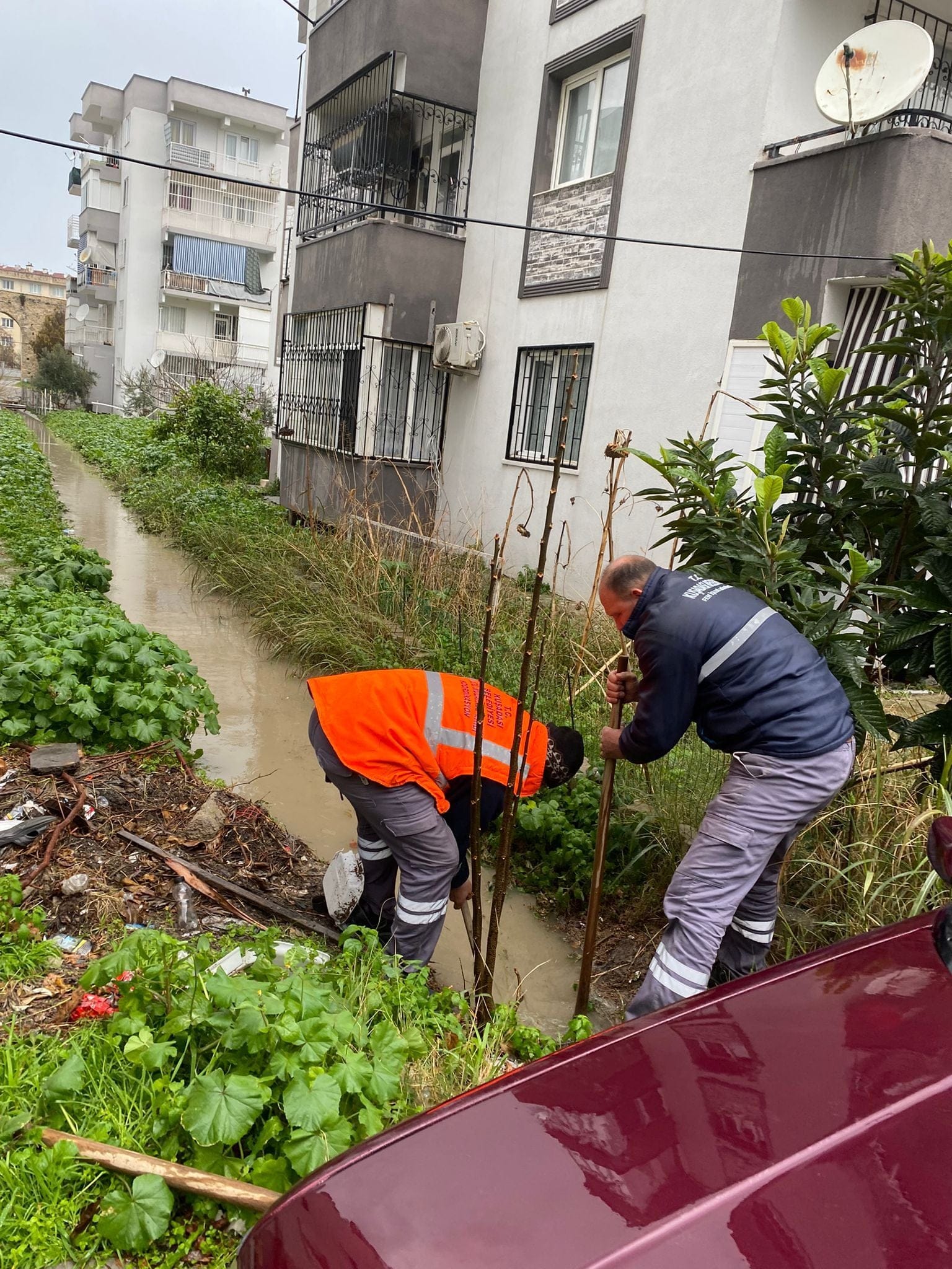 Whatsapp Image 2026 01 22 At 17.48.53 (2)