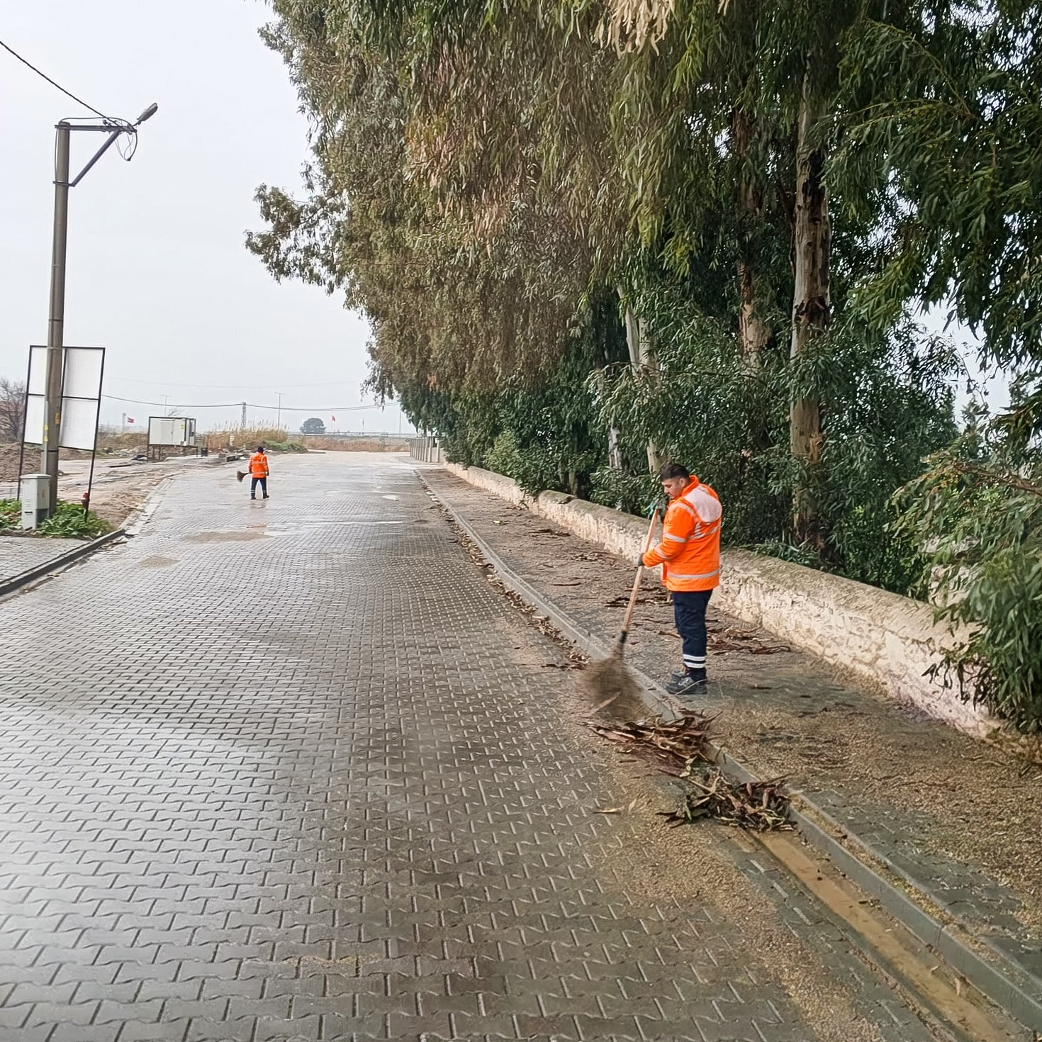 Whatsapp Image 2026 01 23 At 16.37.55