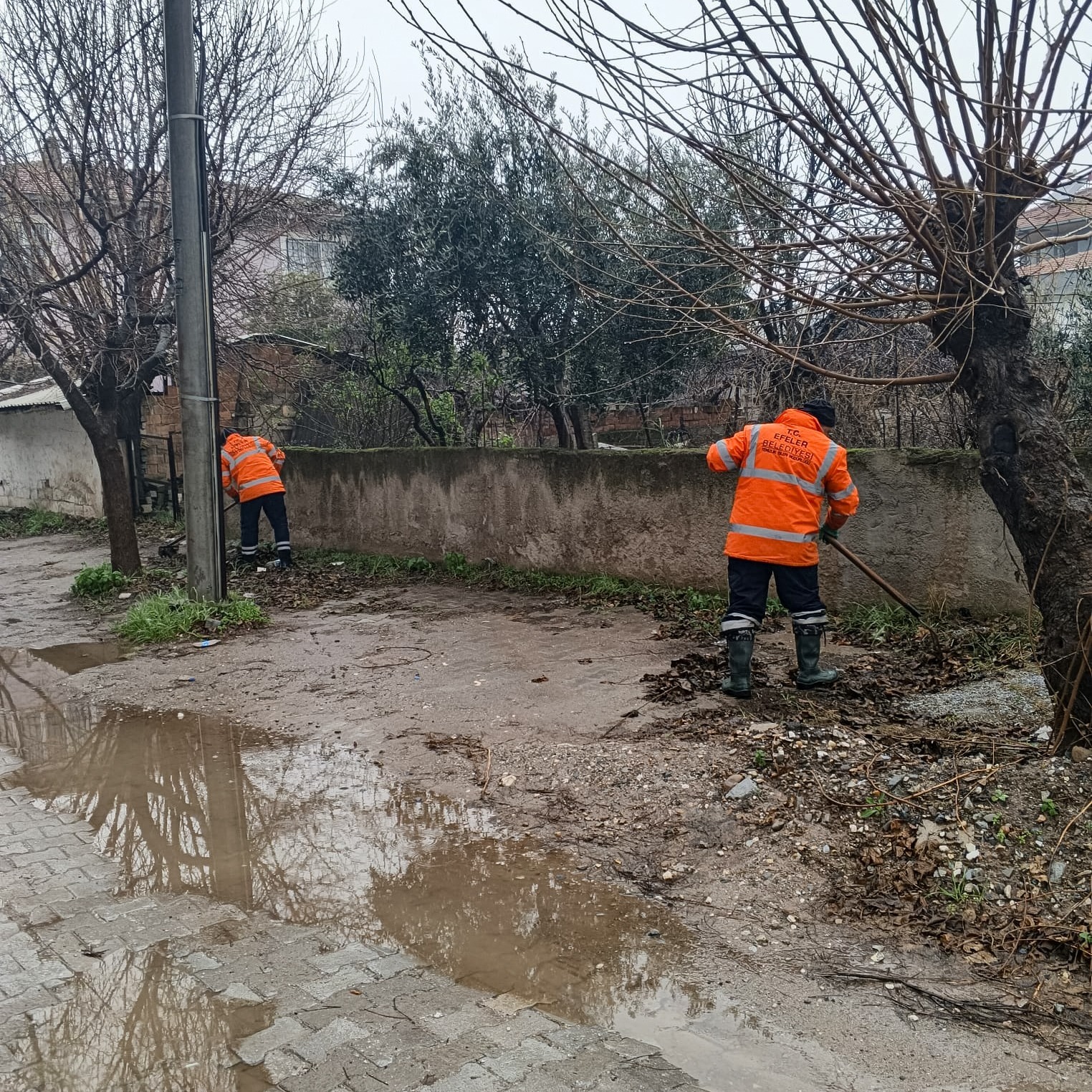 Whatsapp Image 2026 01 23 At 16.37.56