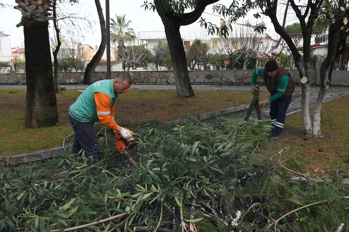 Whatsapp Image 2026 01 23 At 17.15.31 (2)