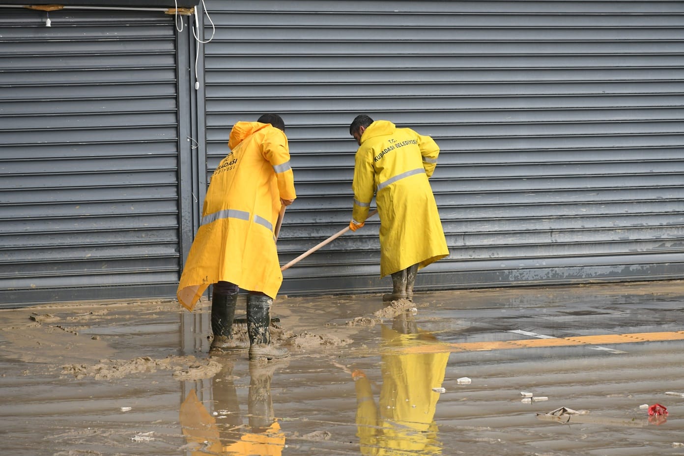 Whatsapp Image 2026 01 23 At 17.15.31 (3)