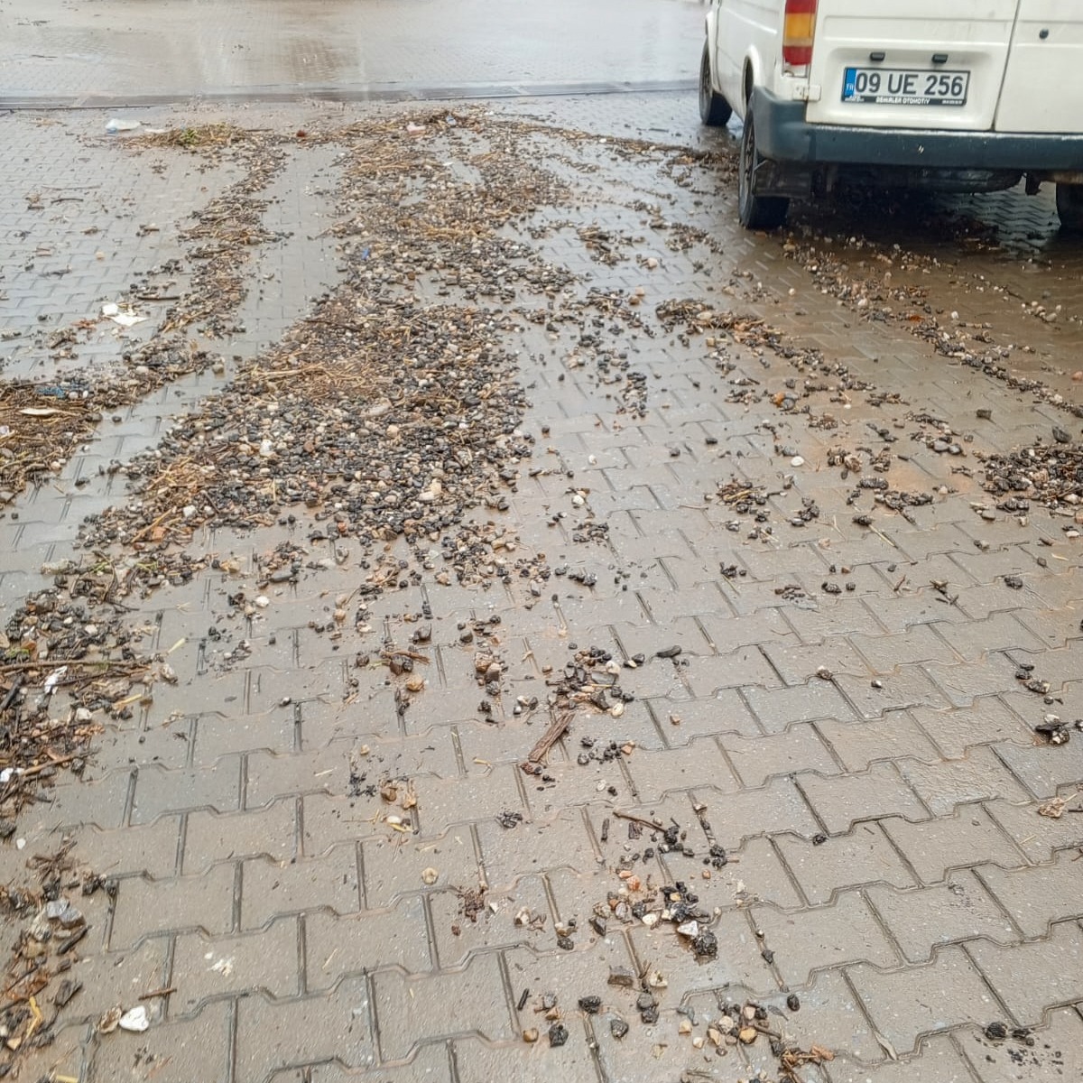 Whatsapp Image 2026 01 31 At 15.26.19