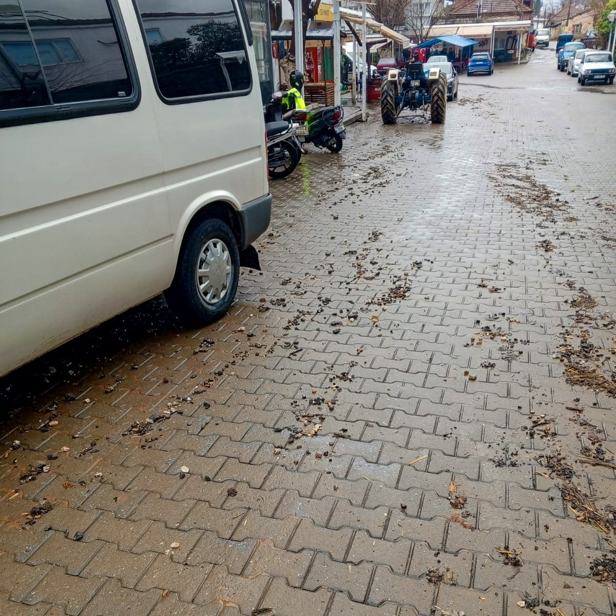 Whatsapp Image 2026 01 31 At 15.26.20