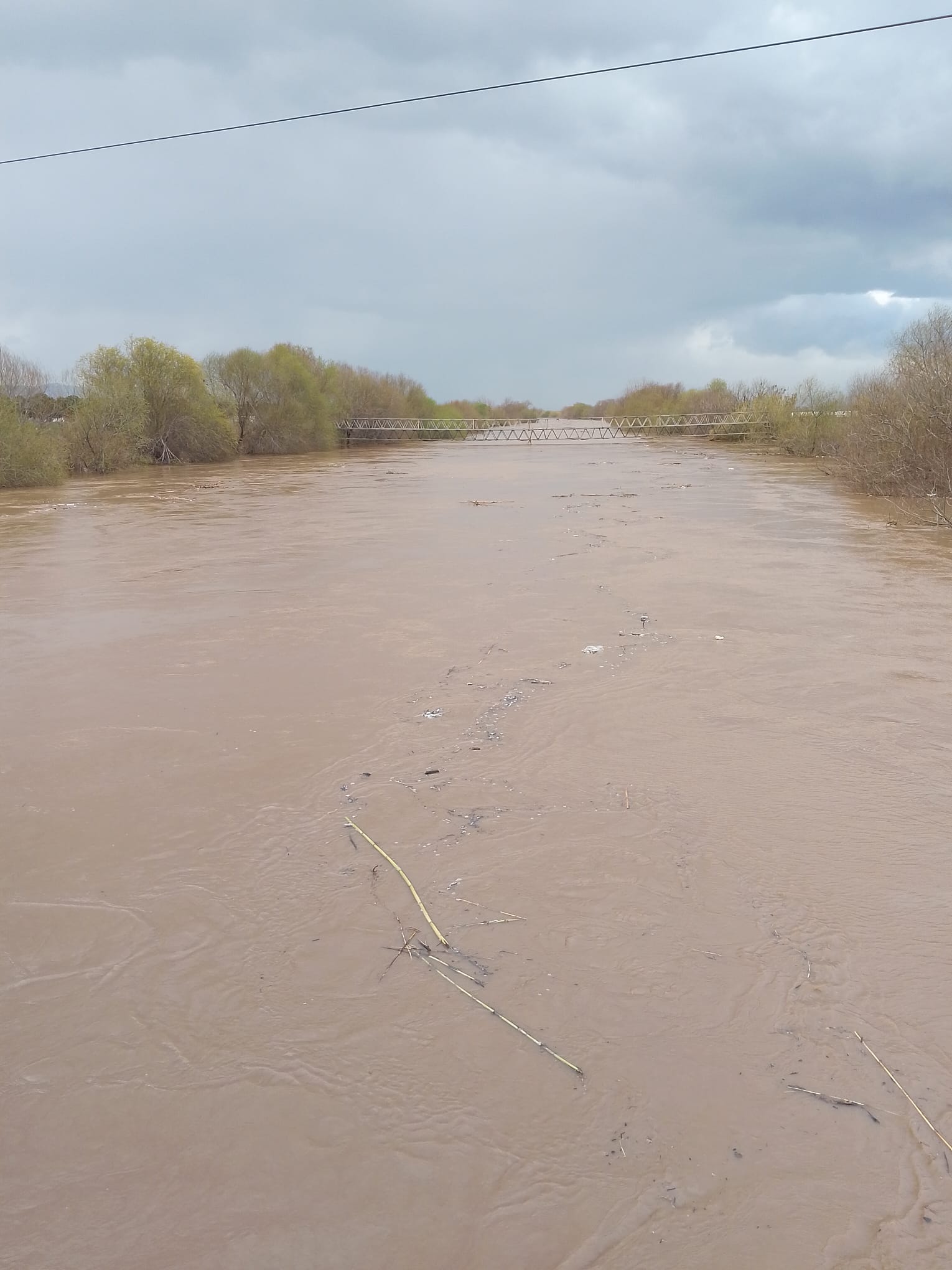 25594F31 C071 42B6 9720 Ce636Ef89D10