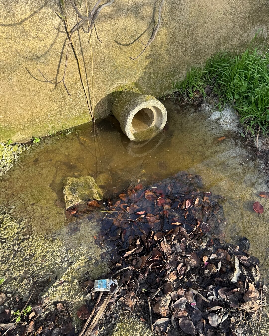 634393851 18555021340049446 6655942879061870039 N