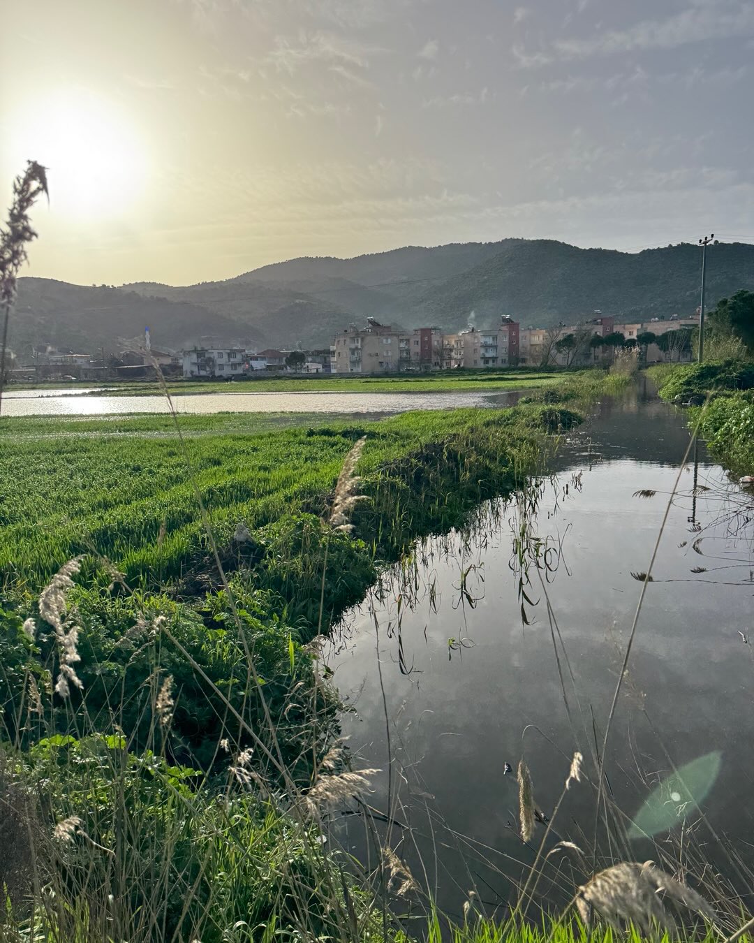 634544344 18555021358049446 6578452683639502914 N