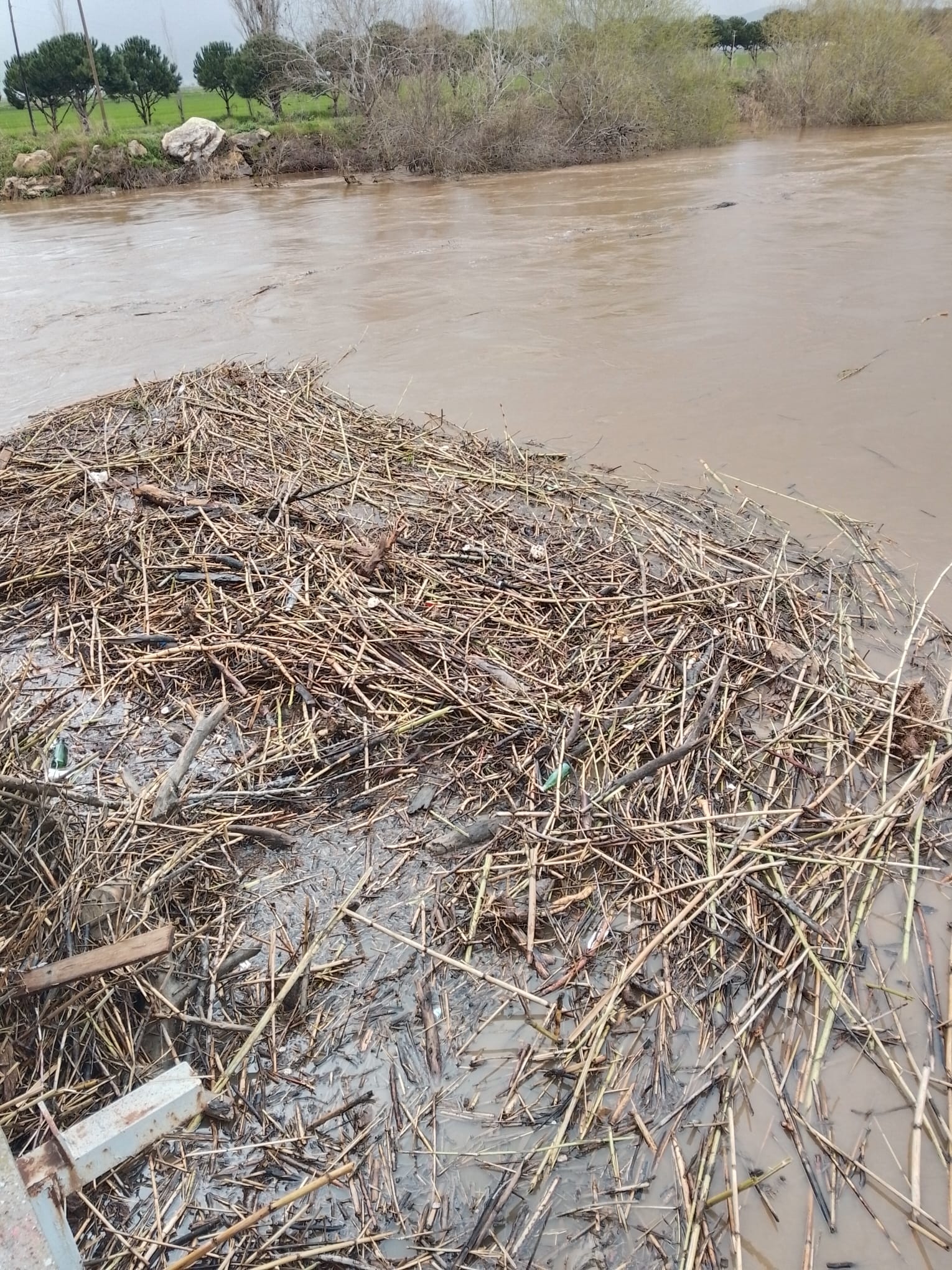 8B71F1Cc 8A5D 4B9E 9969 63244F806541