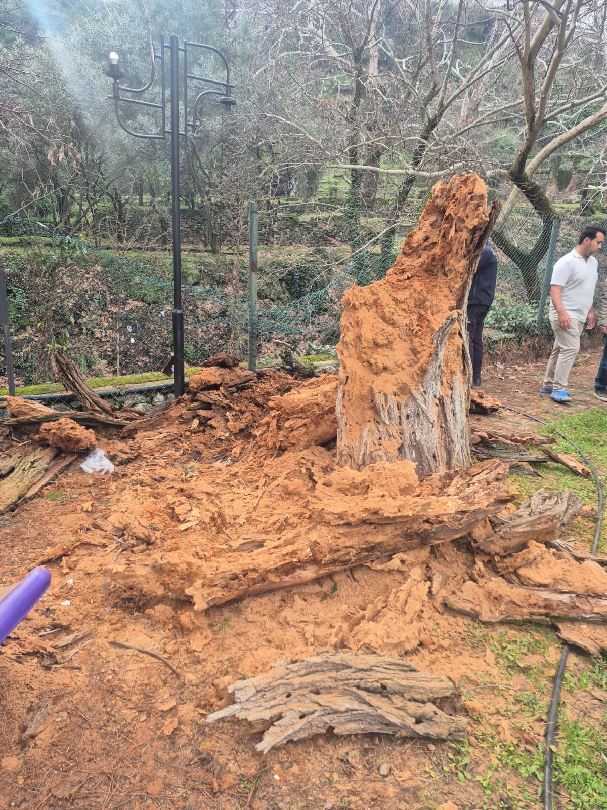 E6167B95 Ad18 4B4A 9306 92Fb65F7717E