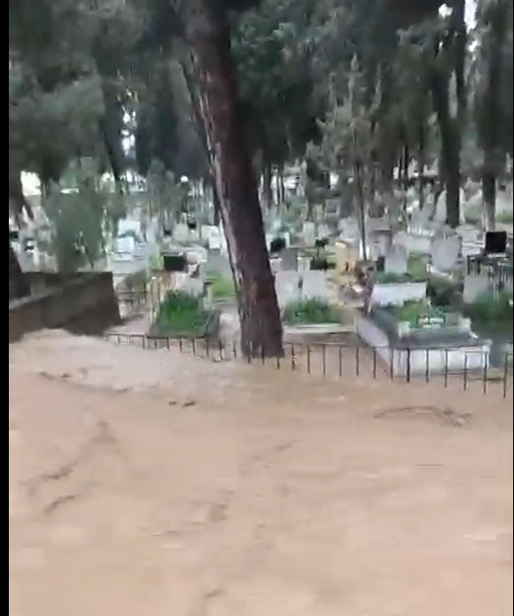 Ekran Görüntüsü 2026 02 13 181023