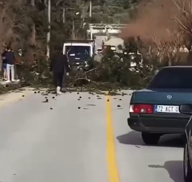 Ekran Görüntüsü 2026 02 15 170907