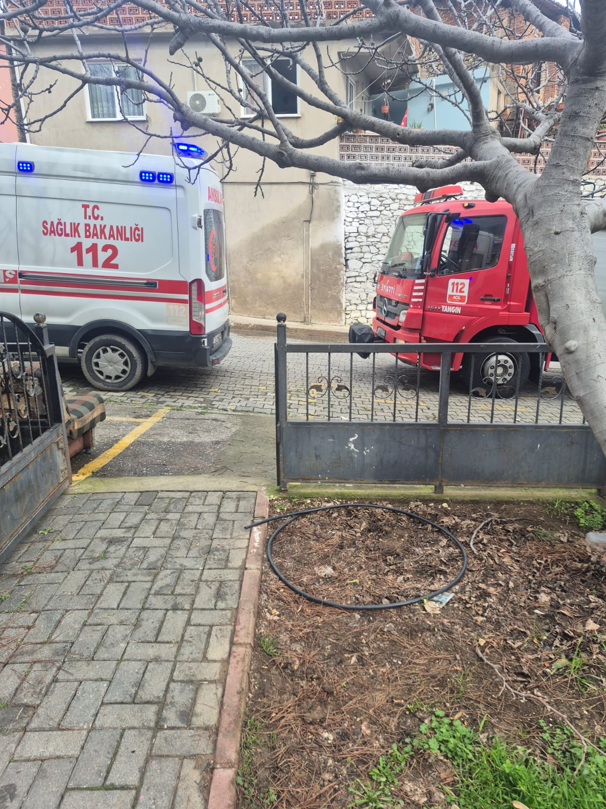 Fe74E2D4 7975 4C65 A23D E4D1B4D94F9D