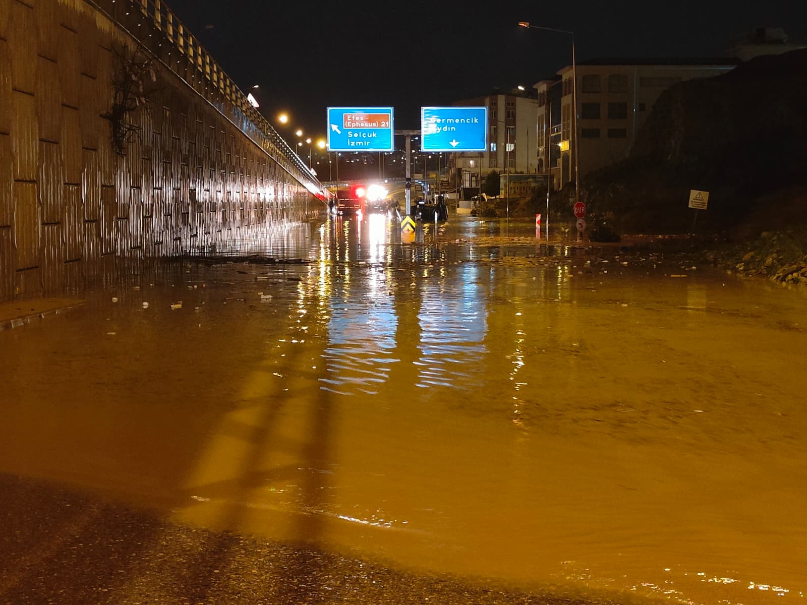 I M G 20260201 W A0014