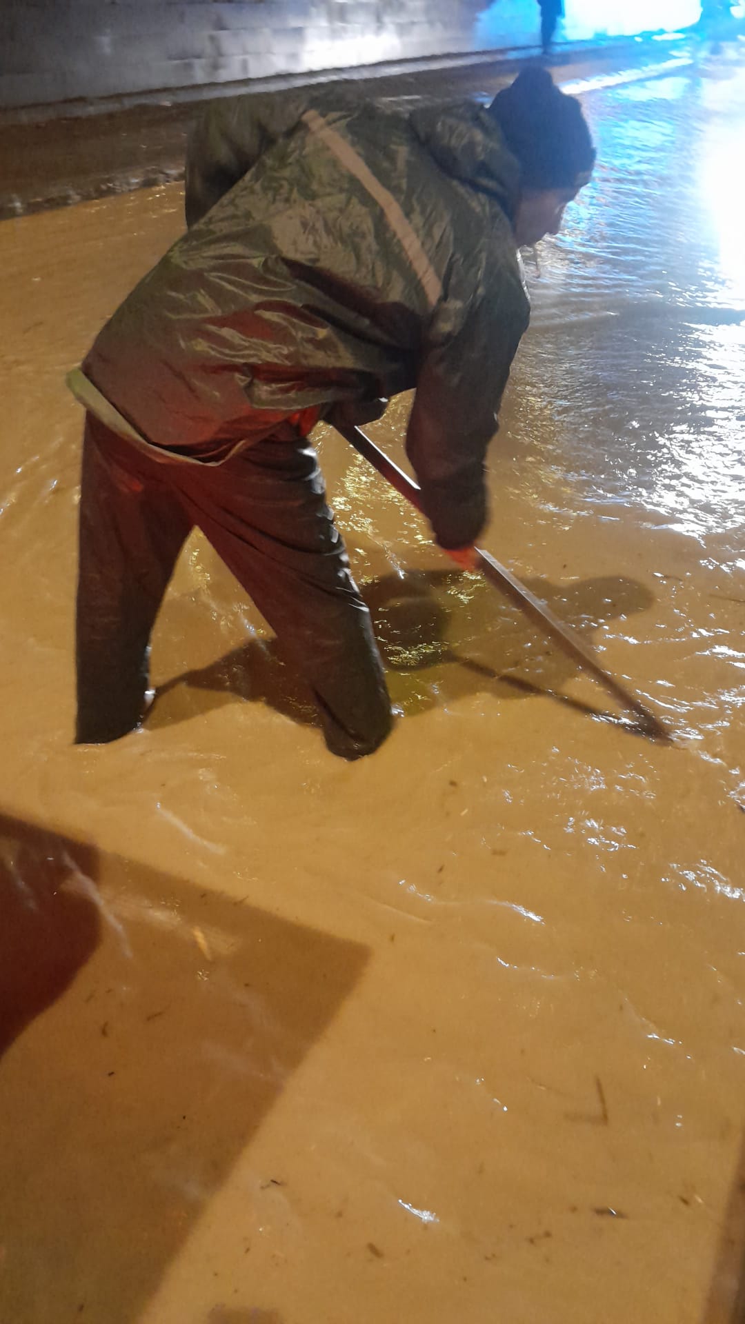 I M G 20260201 W A0015