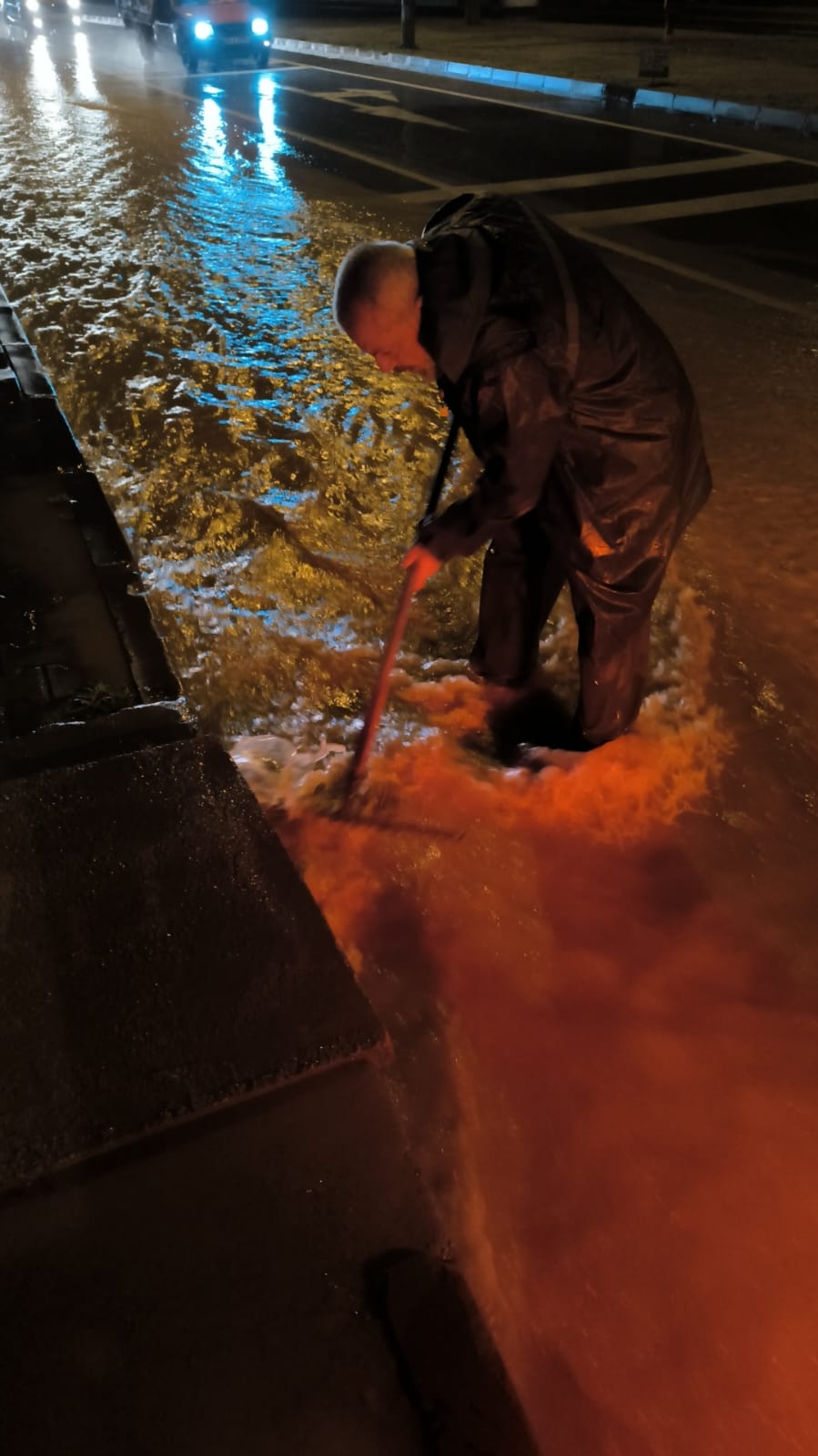 I M G 20260201 W A0016