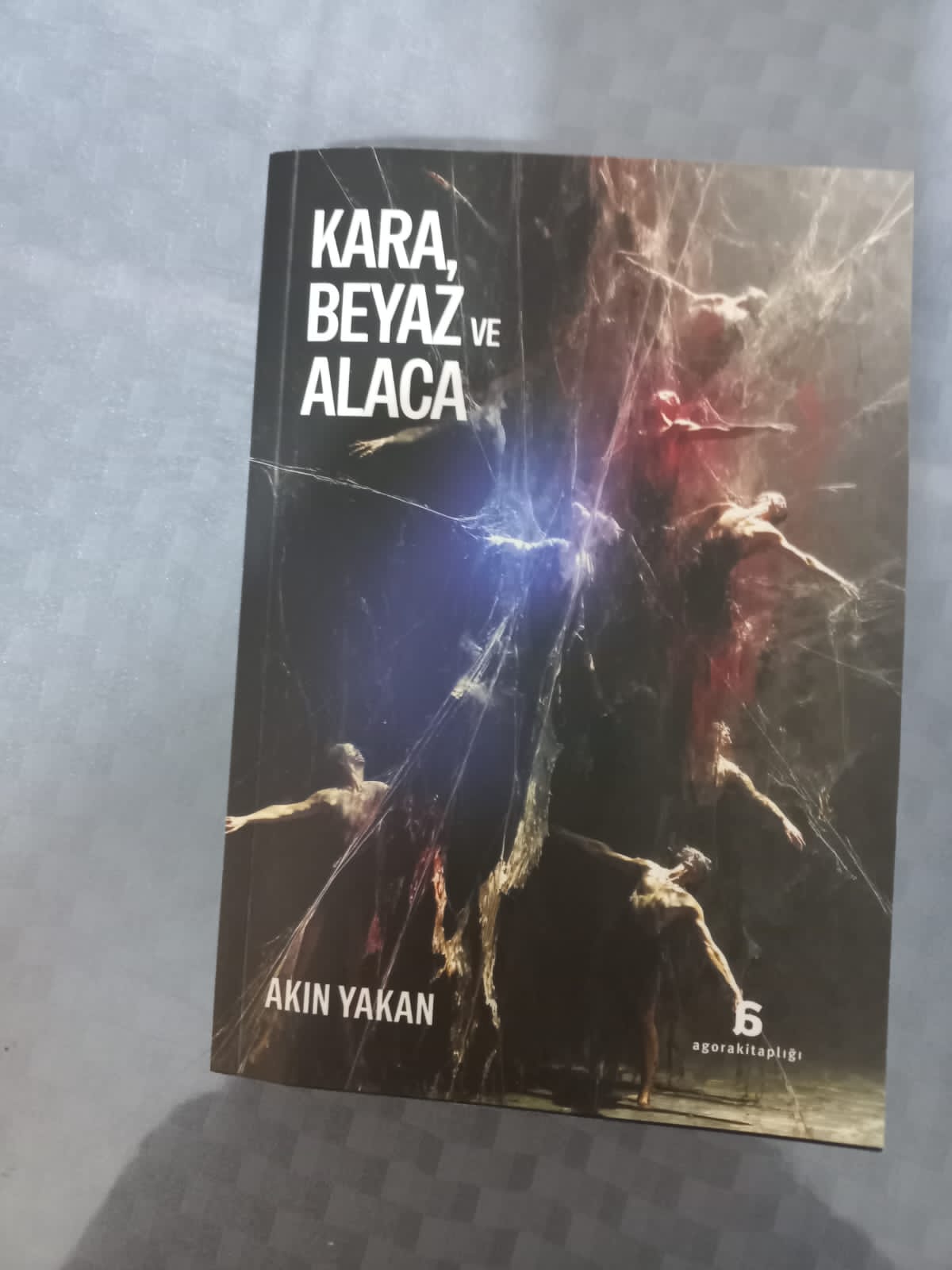 I M G 20260202 W A0000