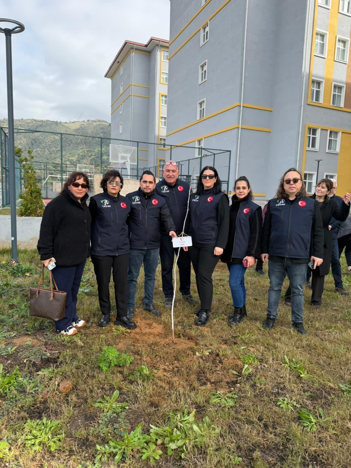 I M G 20260207 W A0001