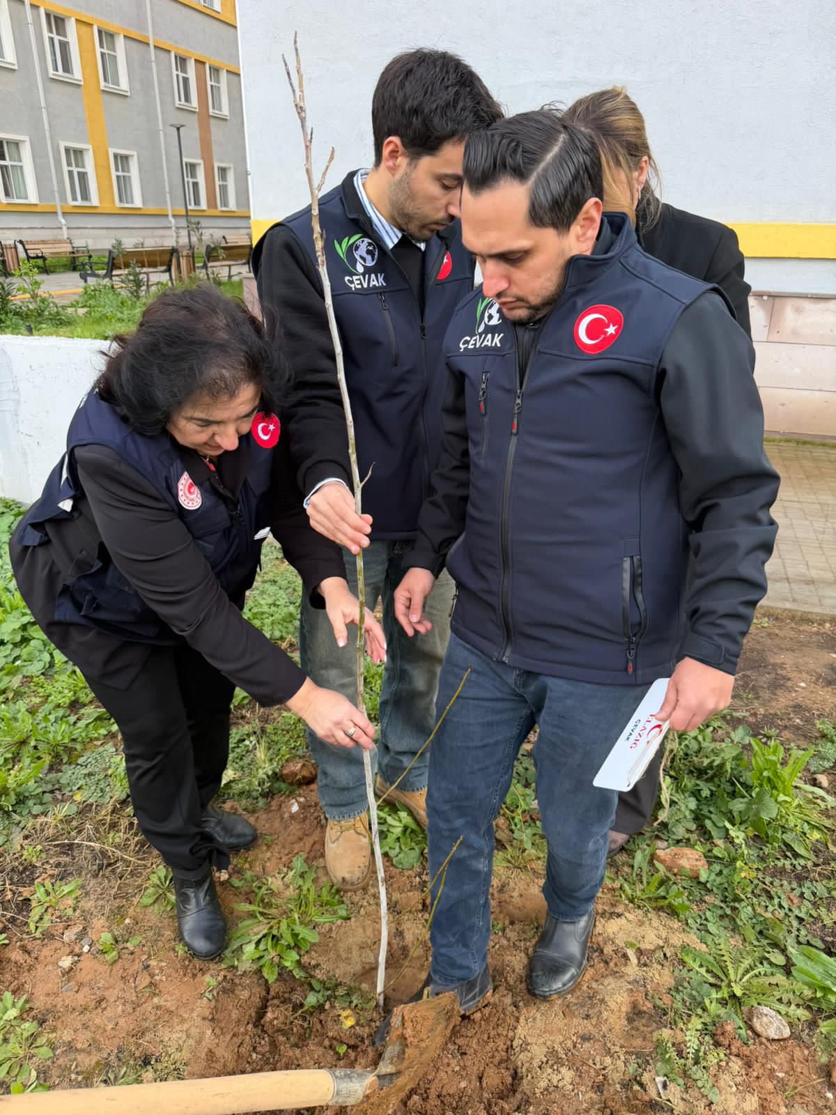 I M G 20260207 W A0009