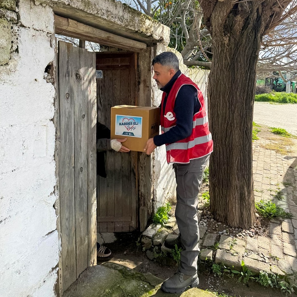 I M G 20260207 W A0026