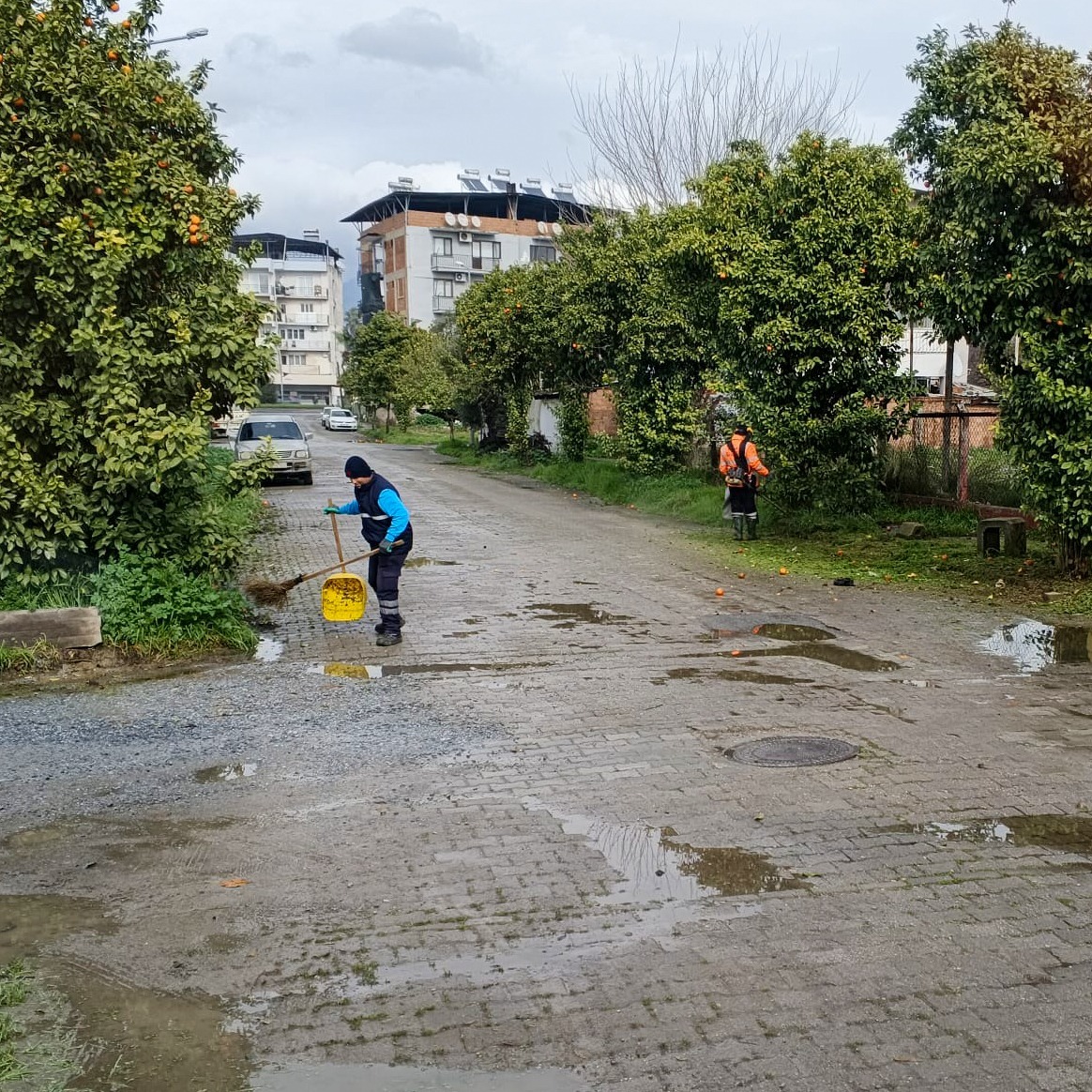 I M G 20260207 W A0036