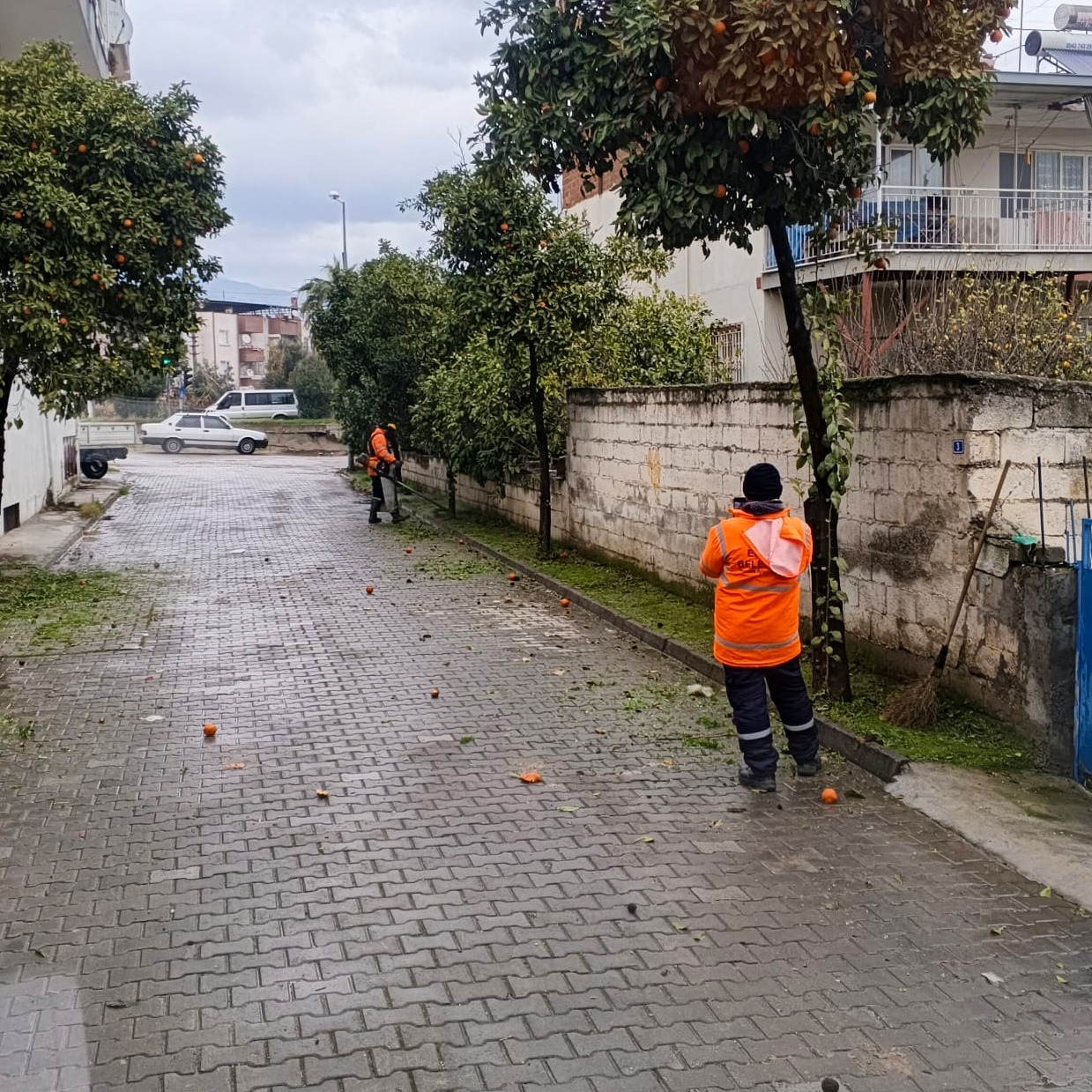 I M G 20260207 W A0037