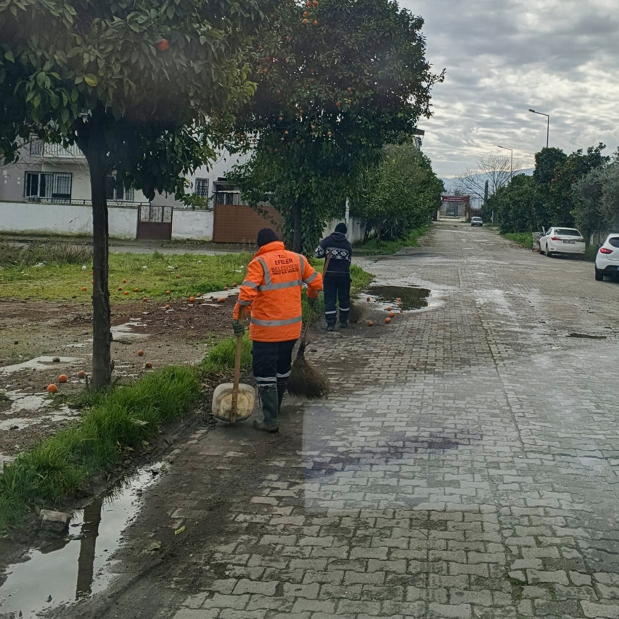 I M G 20260207 W A0038