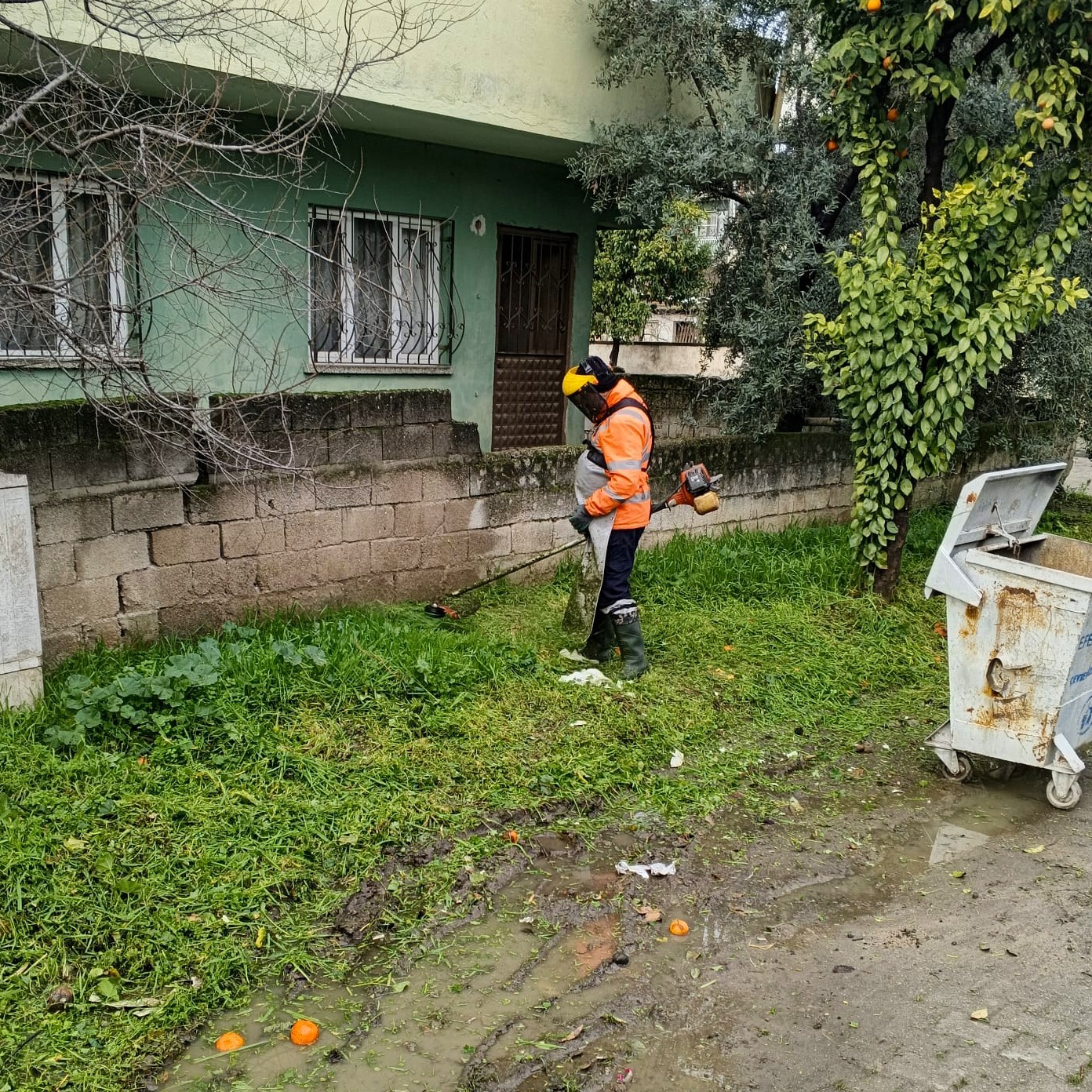 I M G 20260207 W A0039