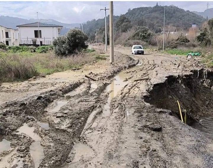 I M G 20260208 W A0011