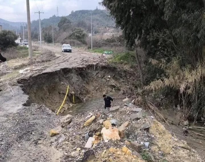 I M G 20260208 W A0012