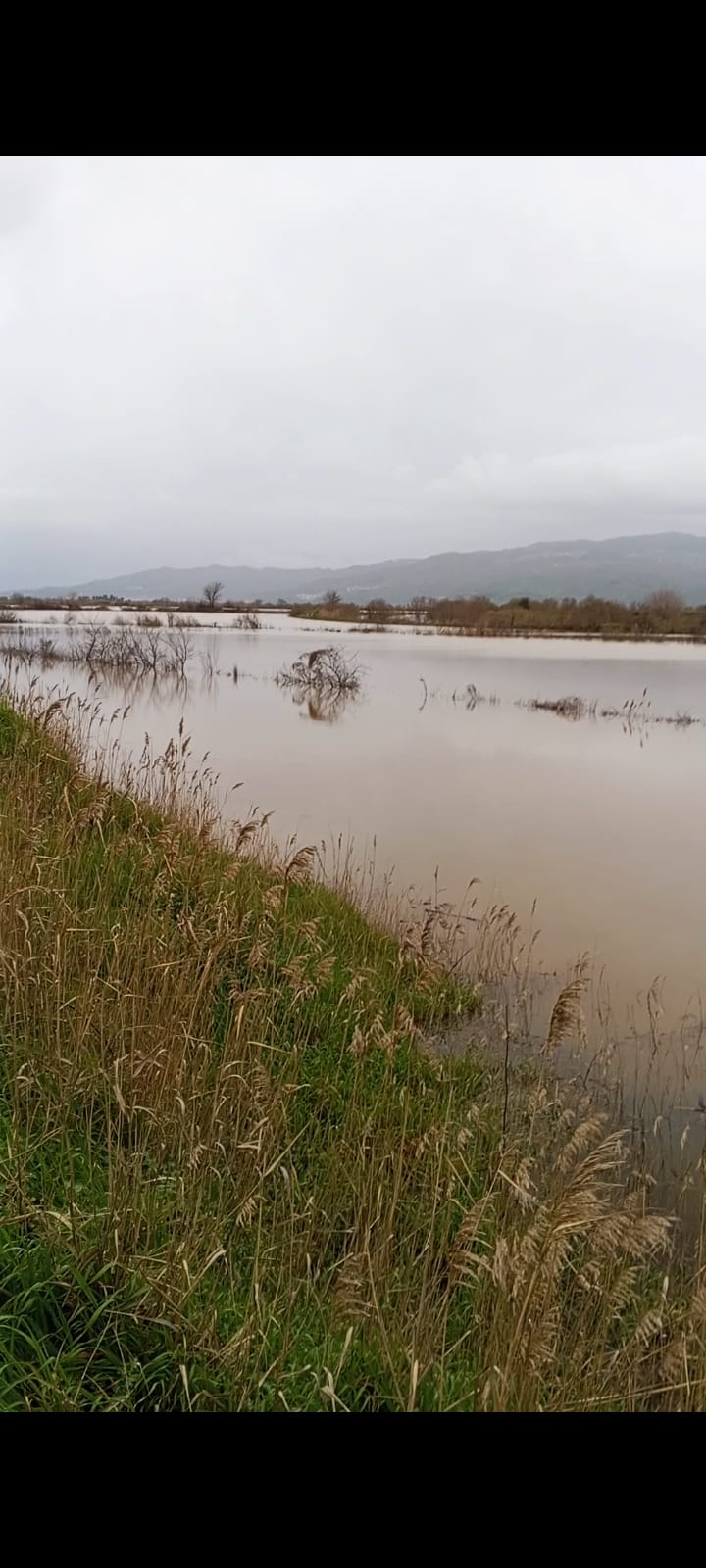 I M G 20260213 W A0003