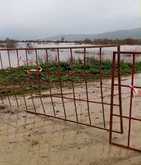 I M G 20260213 W A0005