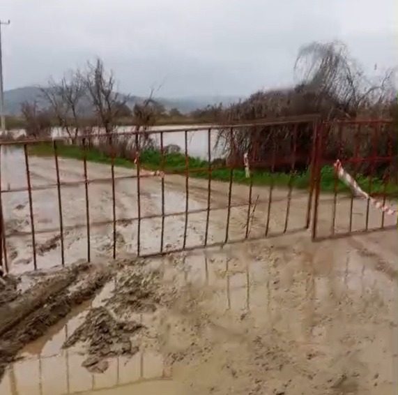 I M G 20260213 W A0007