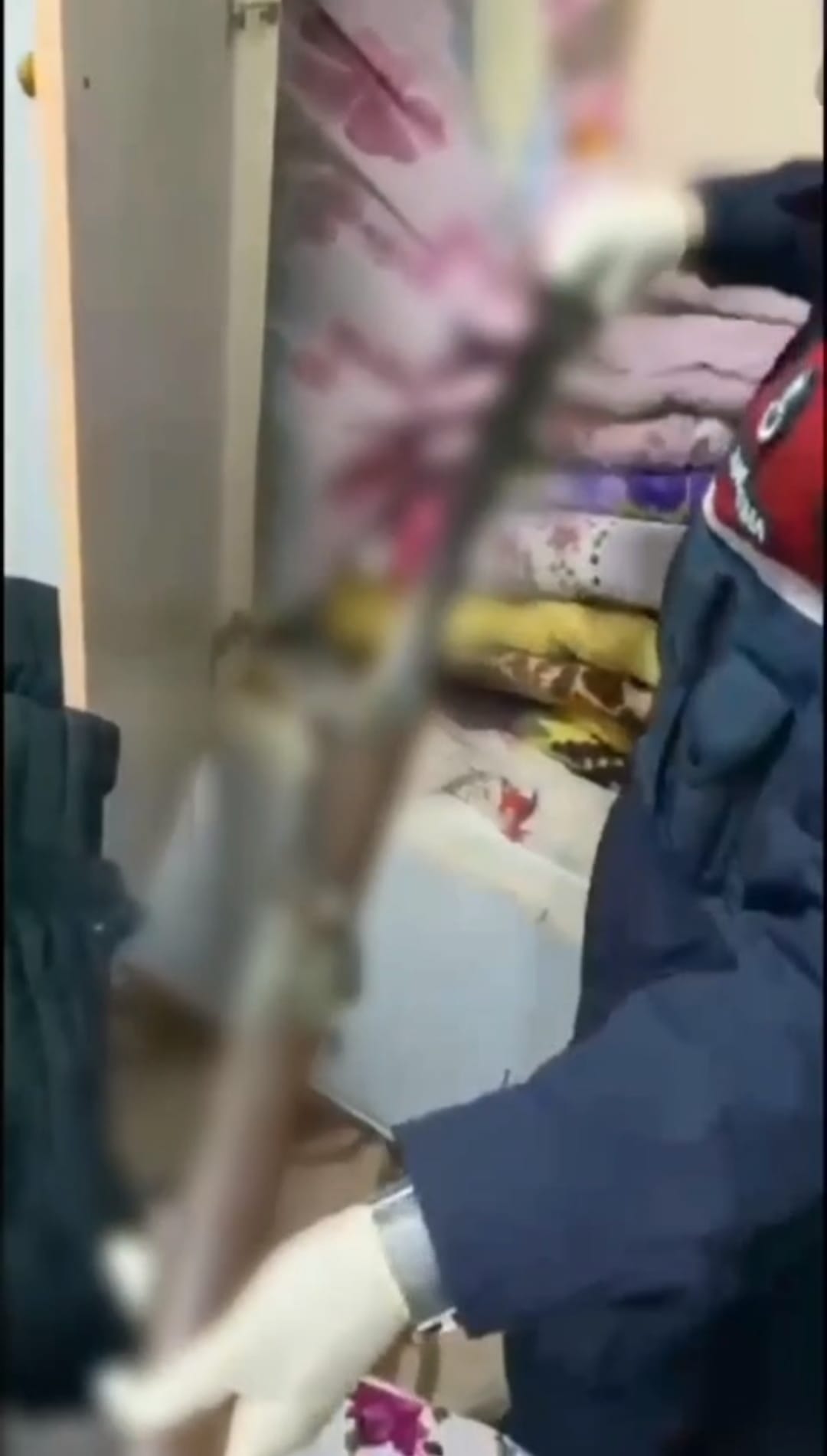 I M G 20260213 W A0027