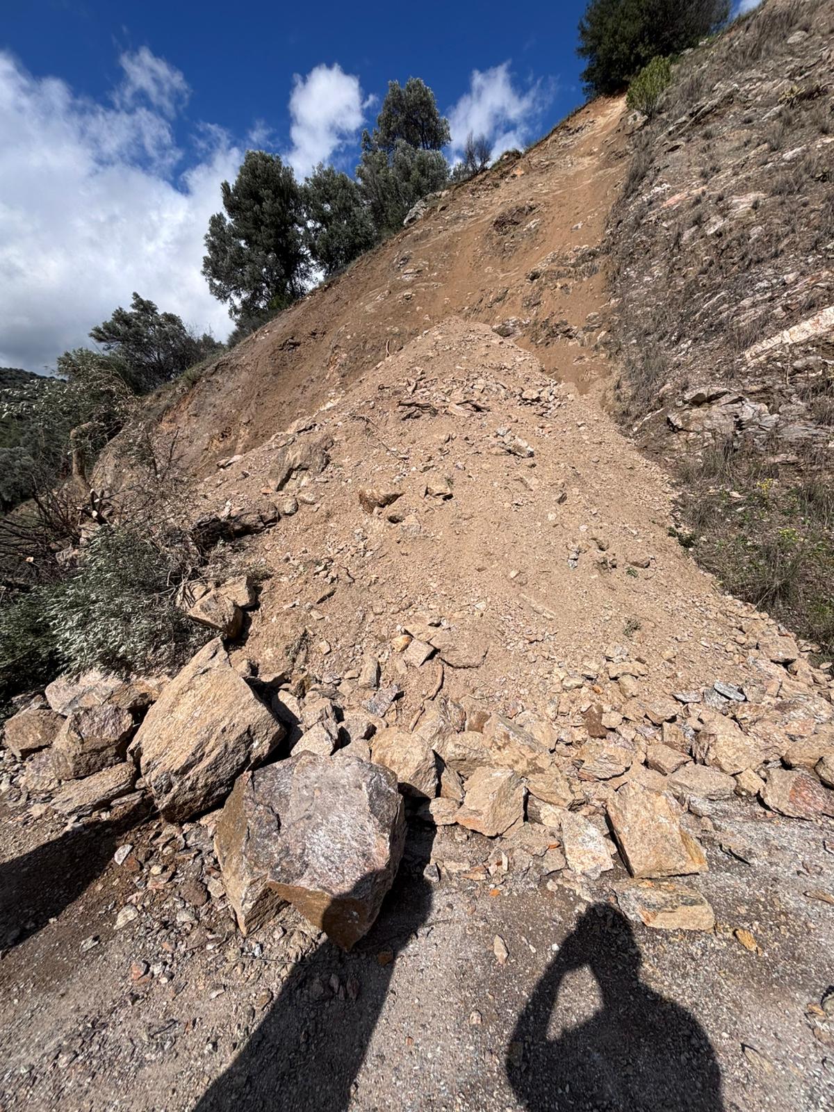 I M G 20260214 W A0017