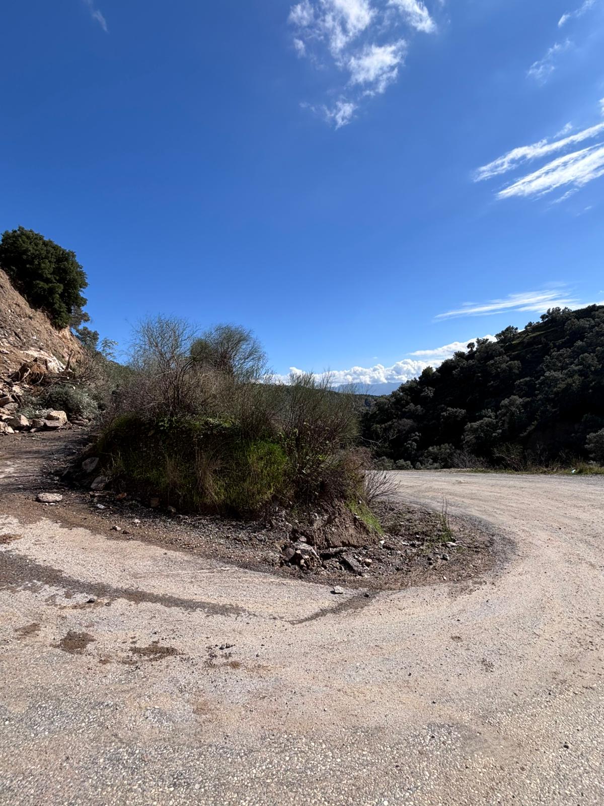 I M G 20260214 W A0018