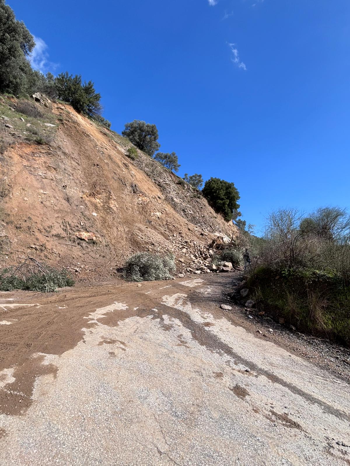 I M G 20260214 W A0020