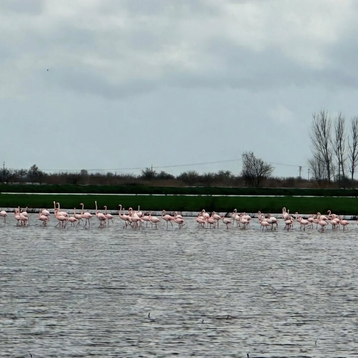 I M G 20260217 W A0034