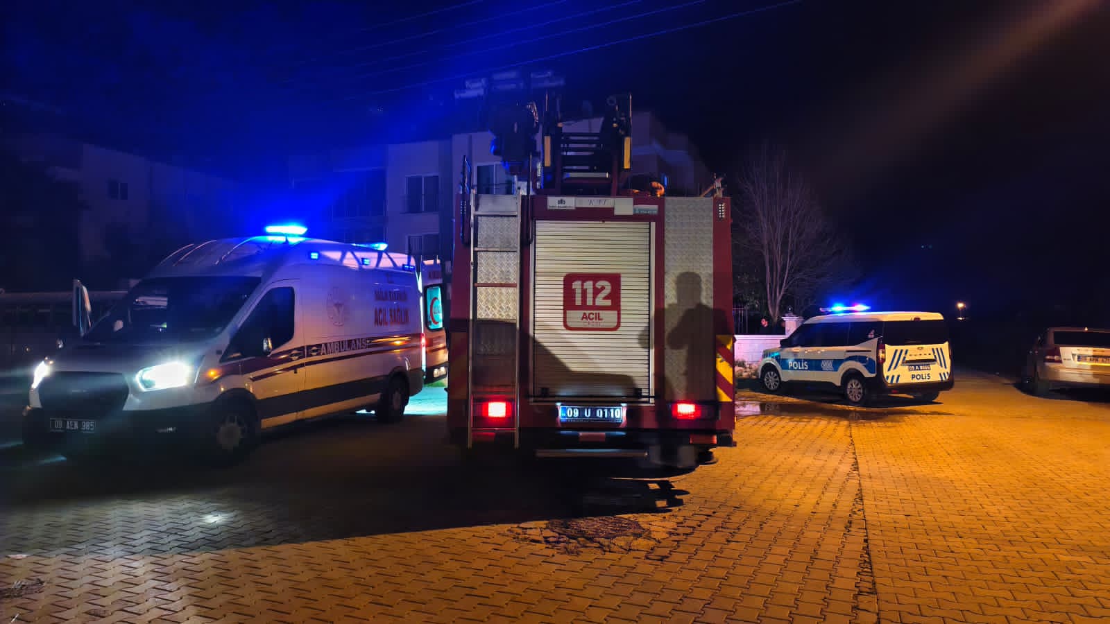 I M G 20260224 W A0005