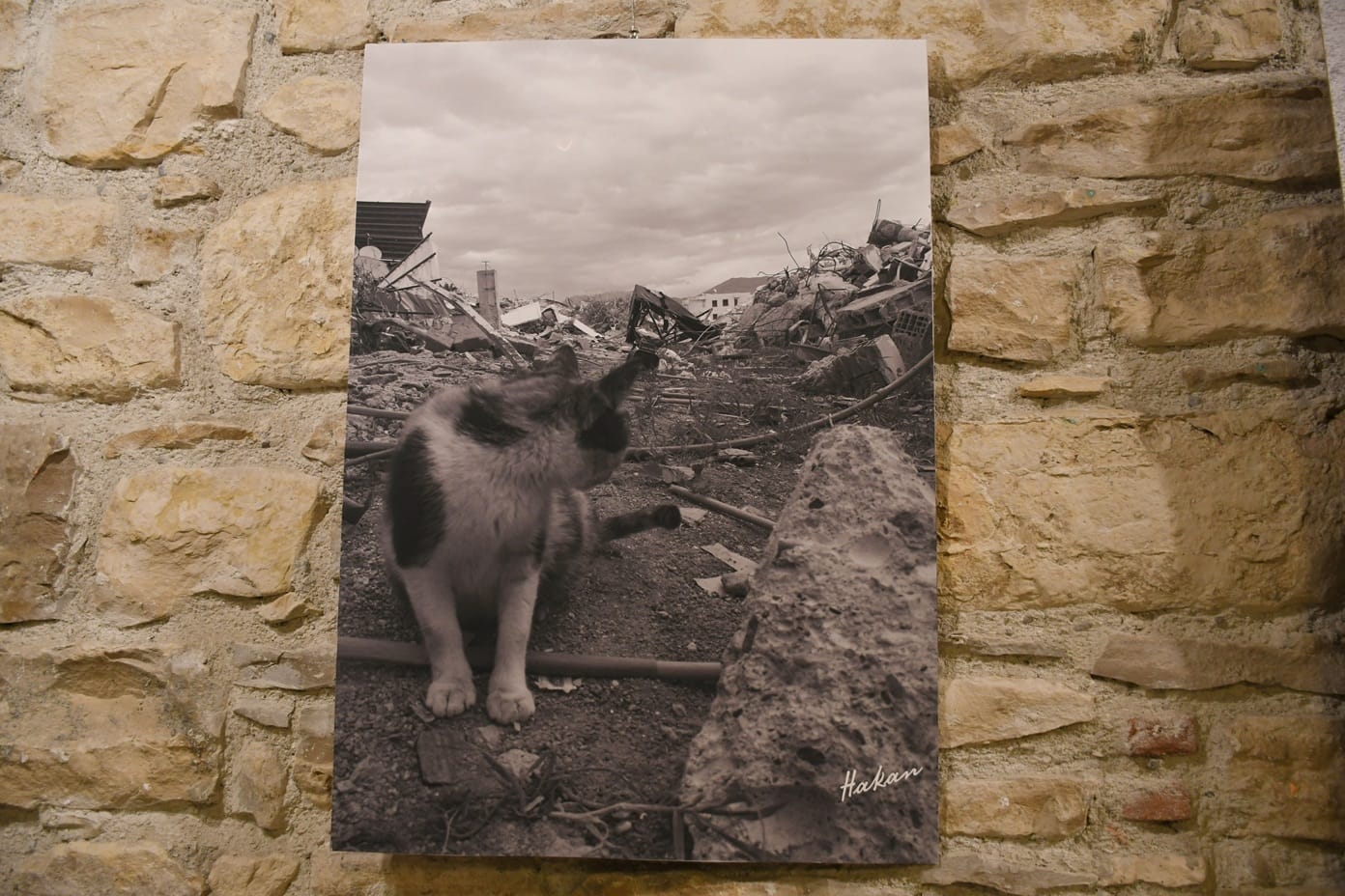 Whatsapp Image 2026 02 02 At 17.38.22 (1)