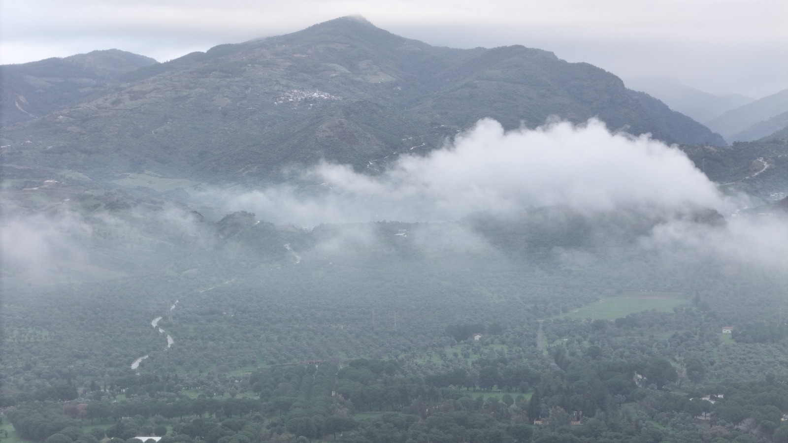 Whatsapp Image 2026 02 06 At 12.47.07 (2)